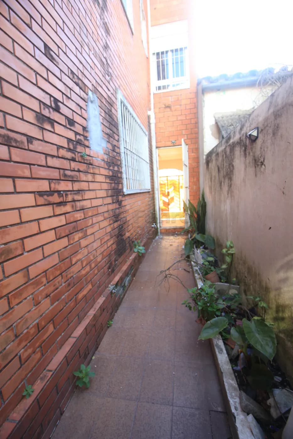 ansz7q-pelotas-casa-padrao-centro-15-10-2025_01-09-54-11.webp