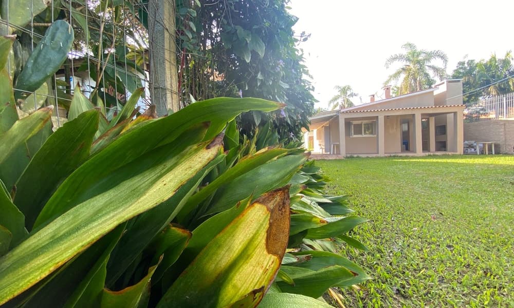 Foto principal do anúncio