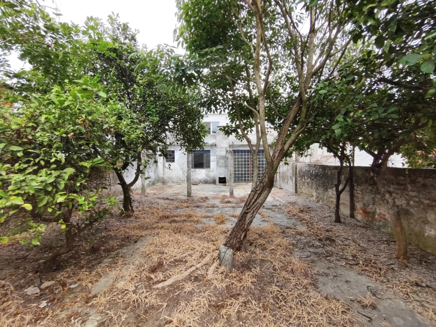 b6e8t-pelotas-casa-padrao-tres-vendas-04-02-2026_11-28-01-69835771400f0.webp