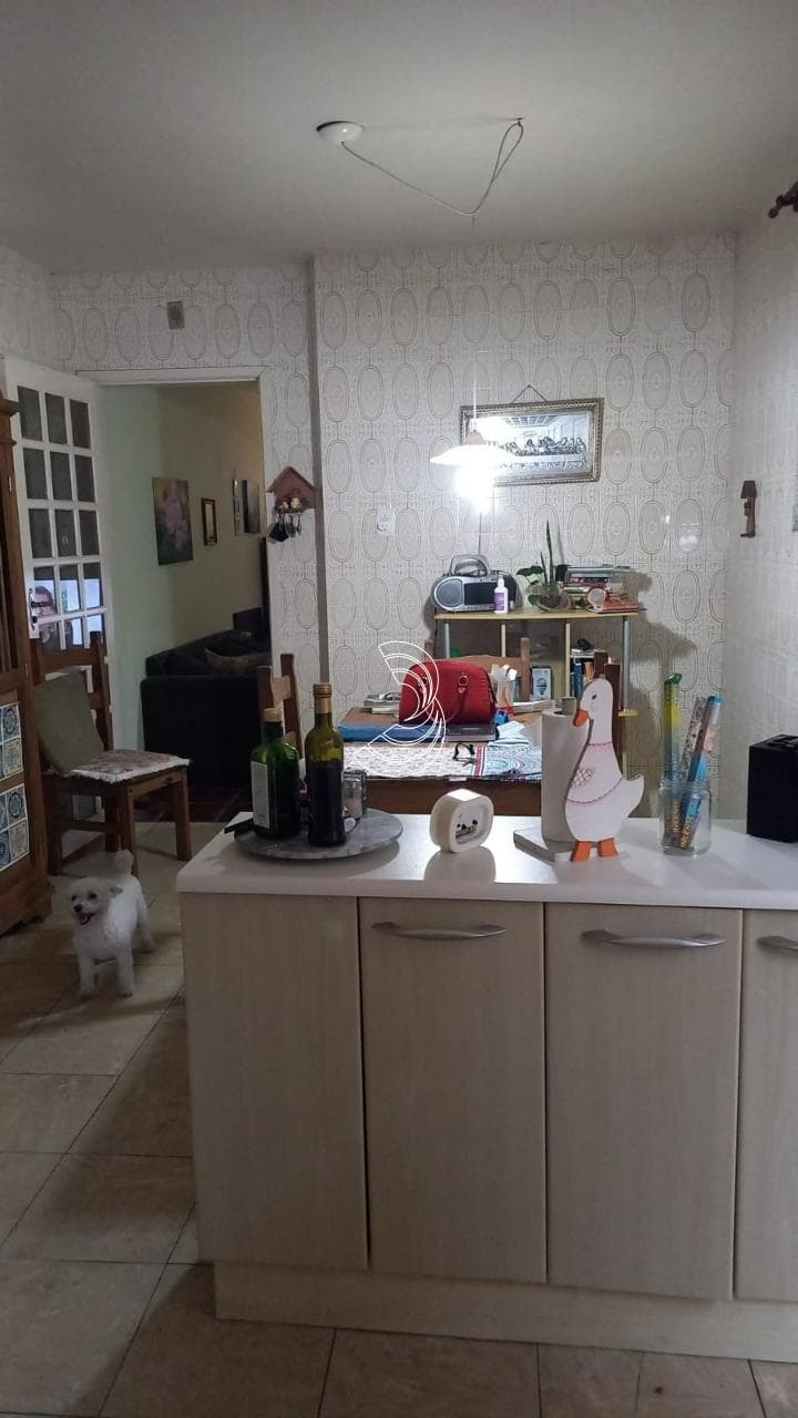 Foto do anúncio número 4