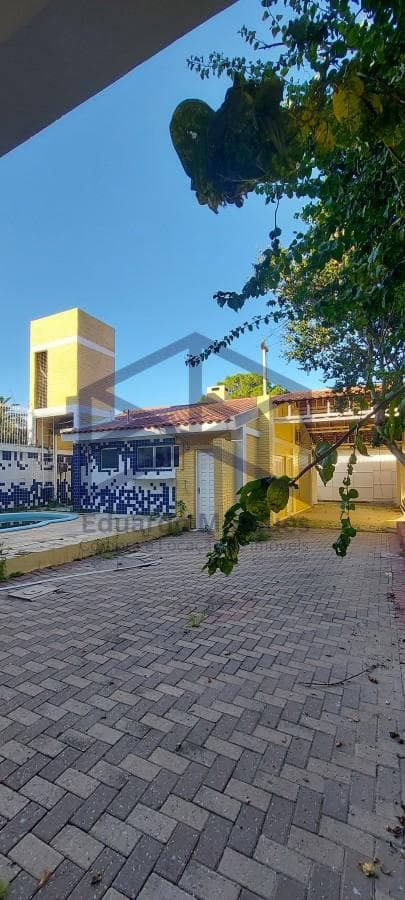 brleo5-202607131113092591-jpg.jpg