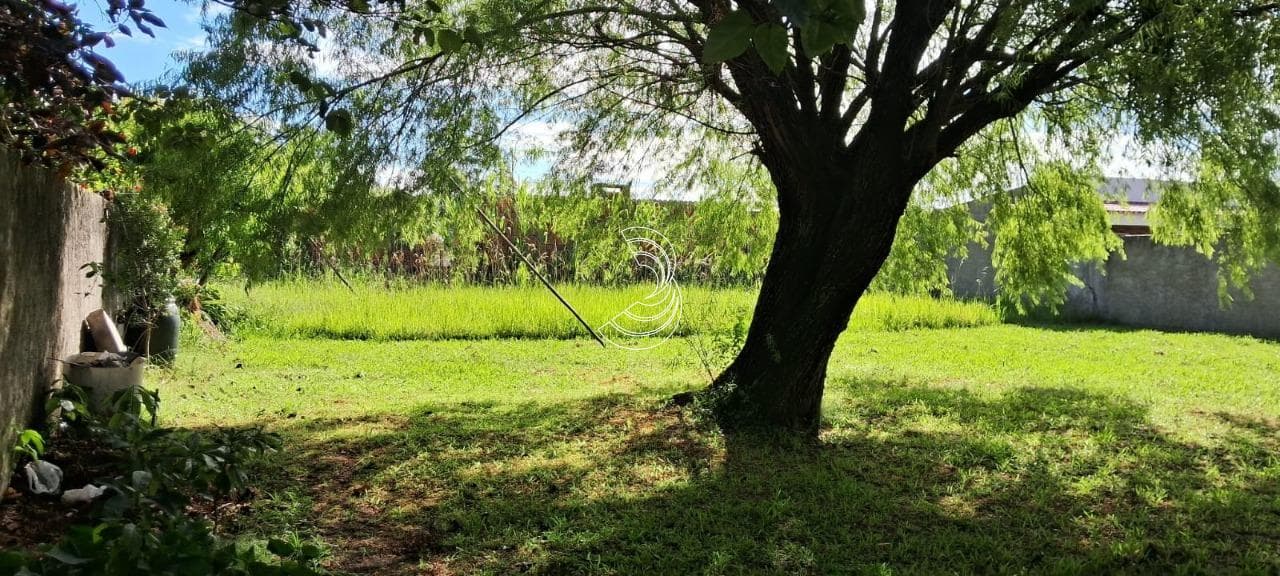 Foto do anúncio número 2