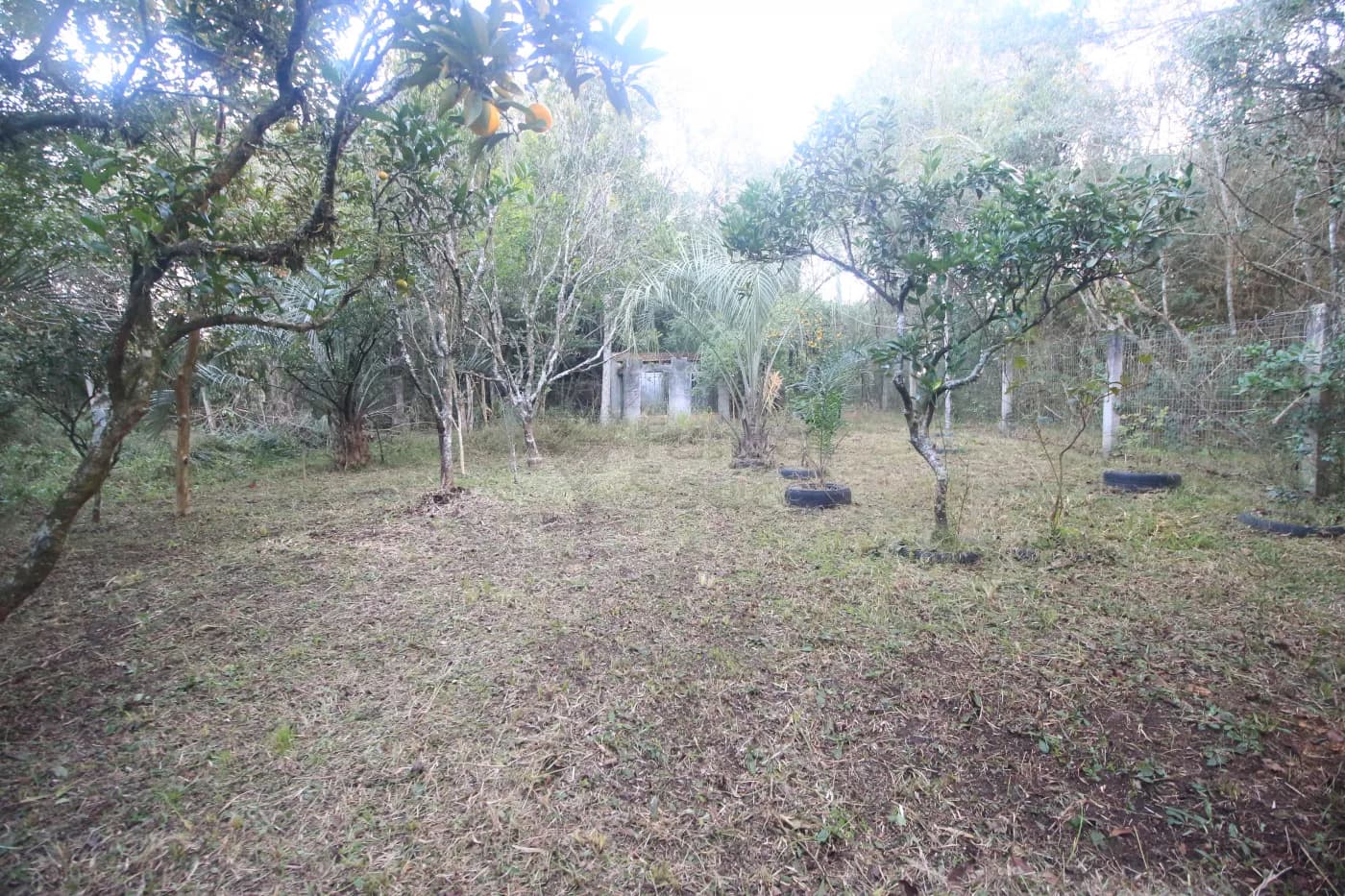 cen4mm-pelotas-casa-padrao-tres-vendas-11-06-2025_00-25-42-37.webp