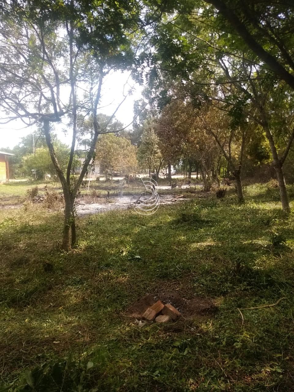 Foto do anúncio número 5