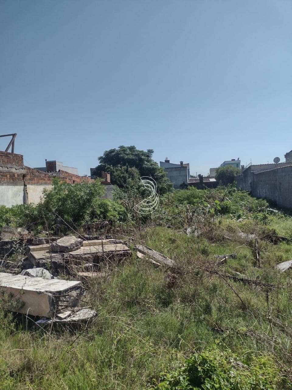 Foto do anúncio número 4