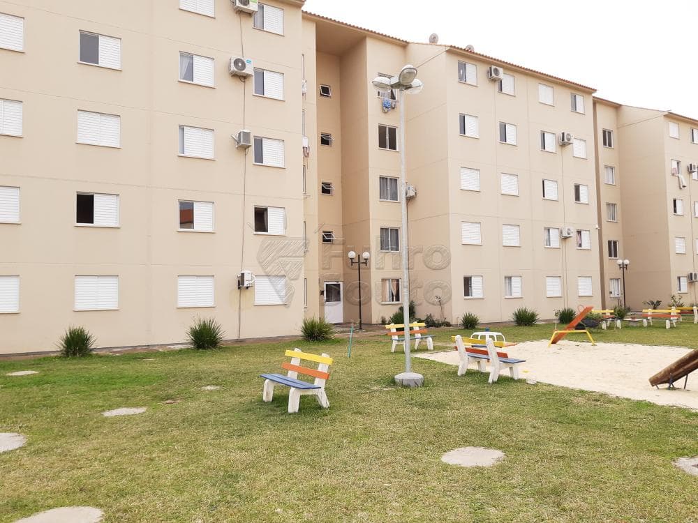 ddfnyw-pelotas-areal-piazza-toscana-ii-16-06-2021_18-52-09-4.jpg