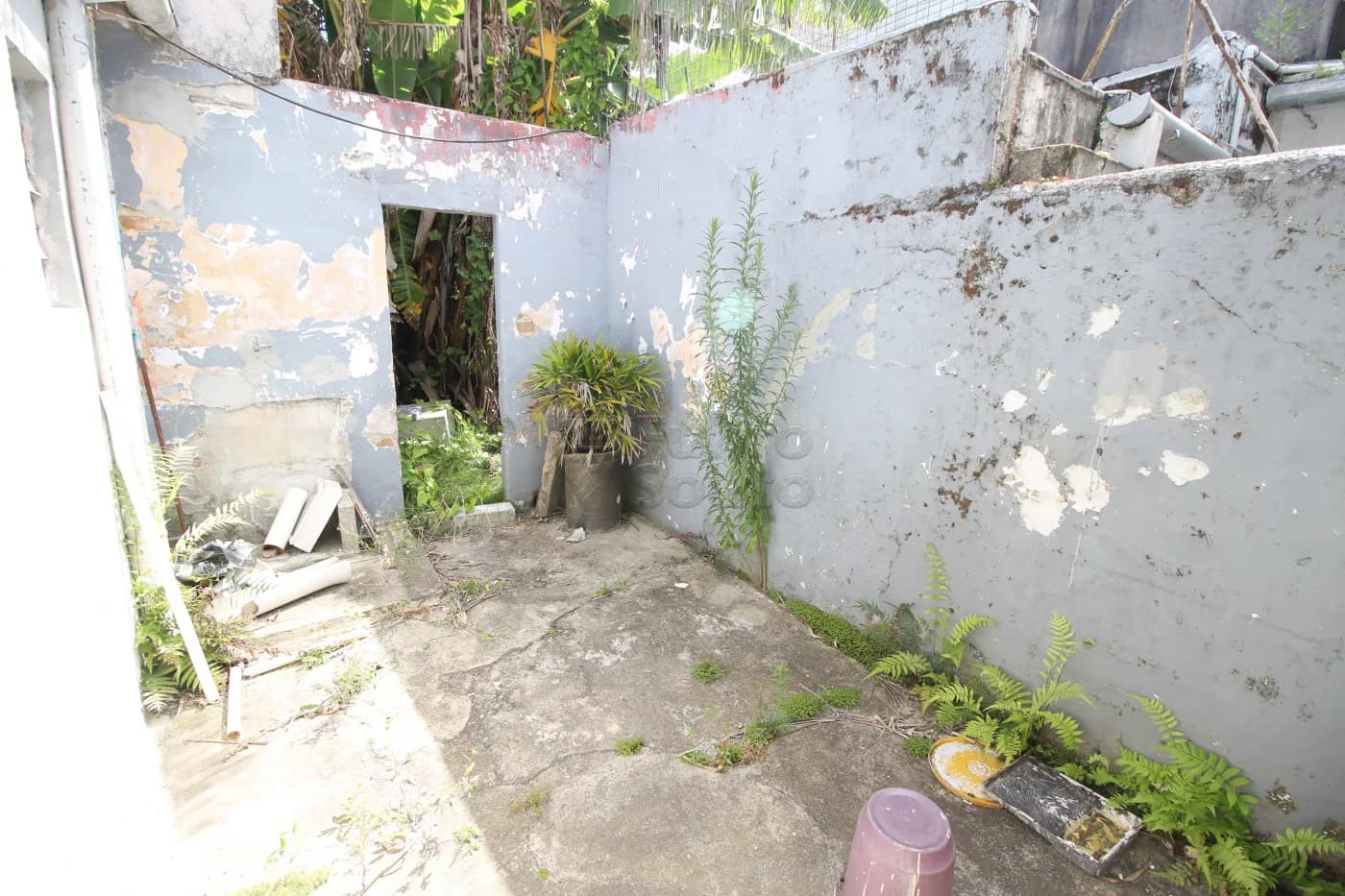 dp0ye-patio.webp