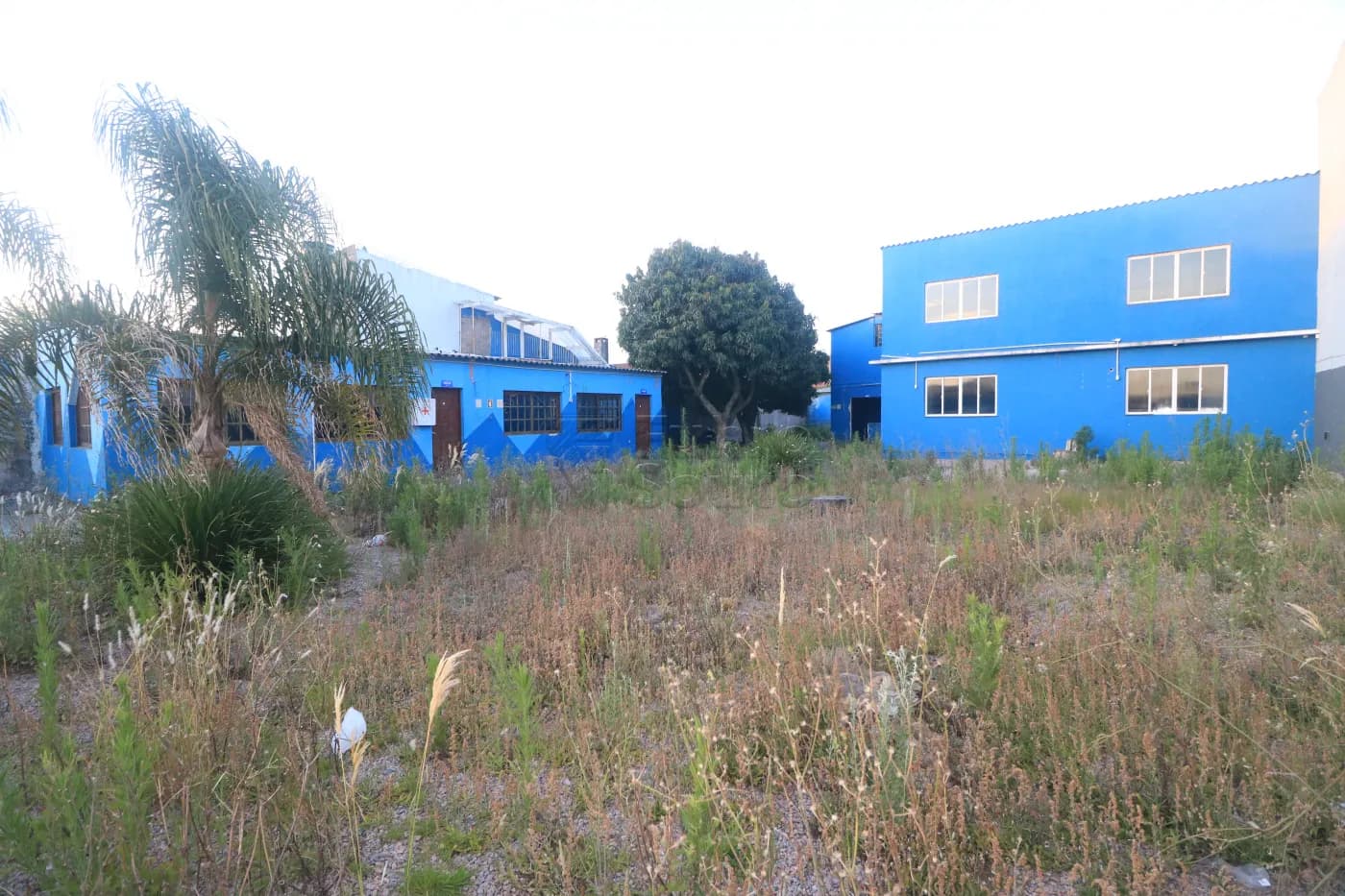 ds0qz-pelotas-comercial-casa-fragata-03-12-2025_08-10-34-15.webp