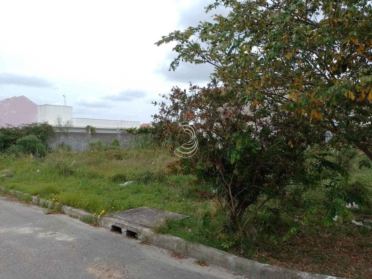 Foto do anúncio número 2