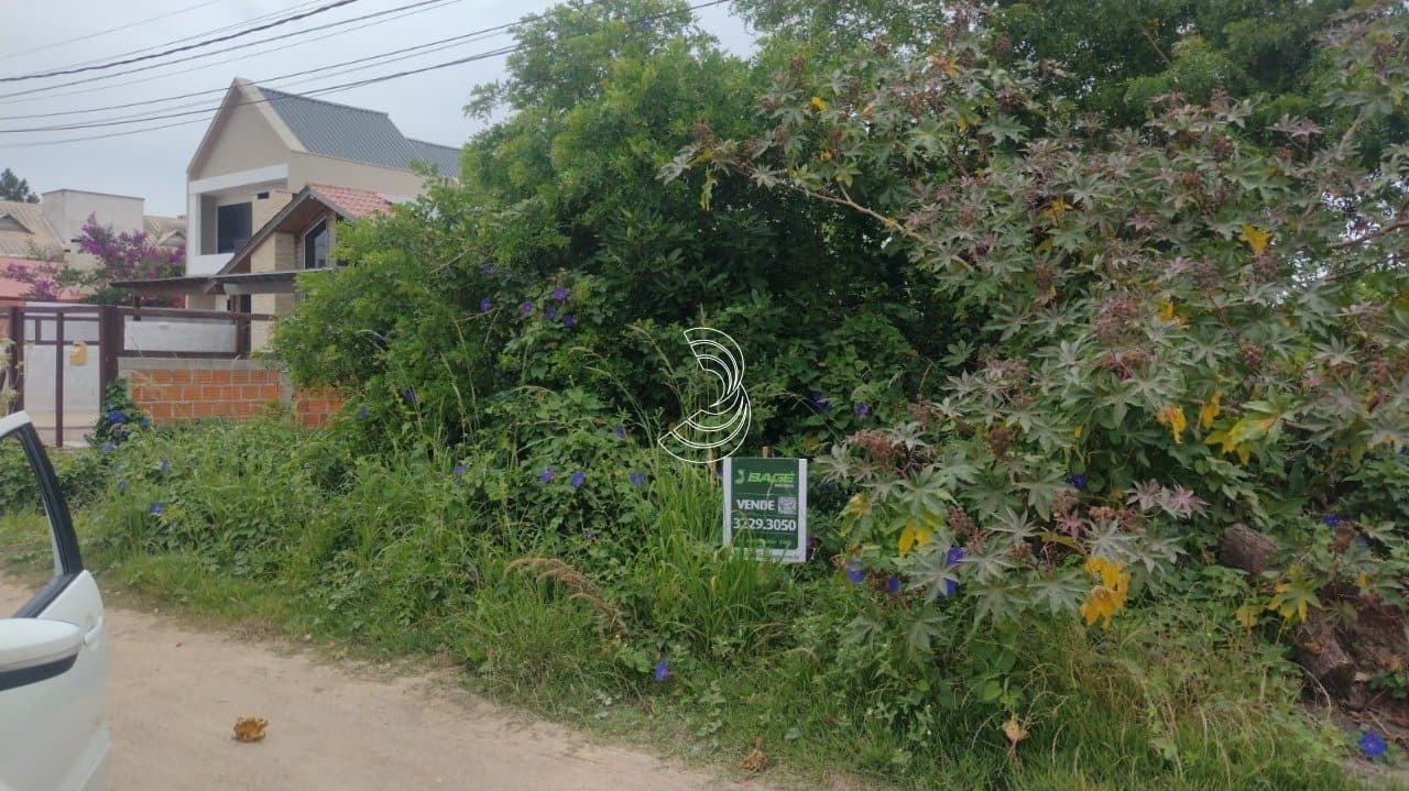Foto do anúncio número 2