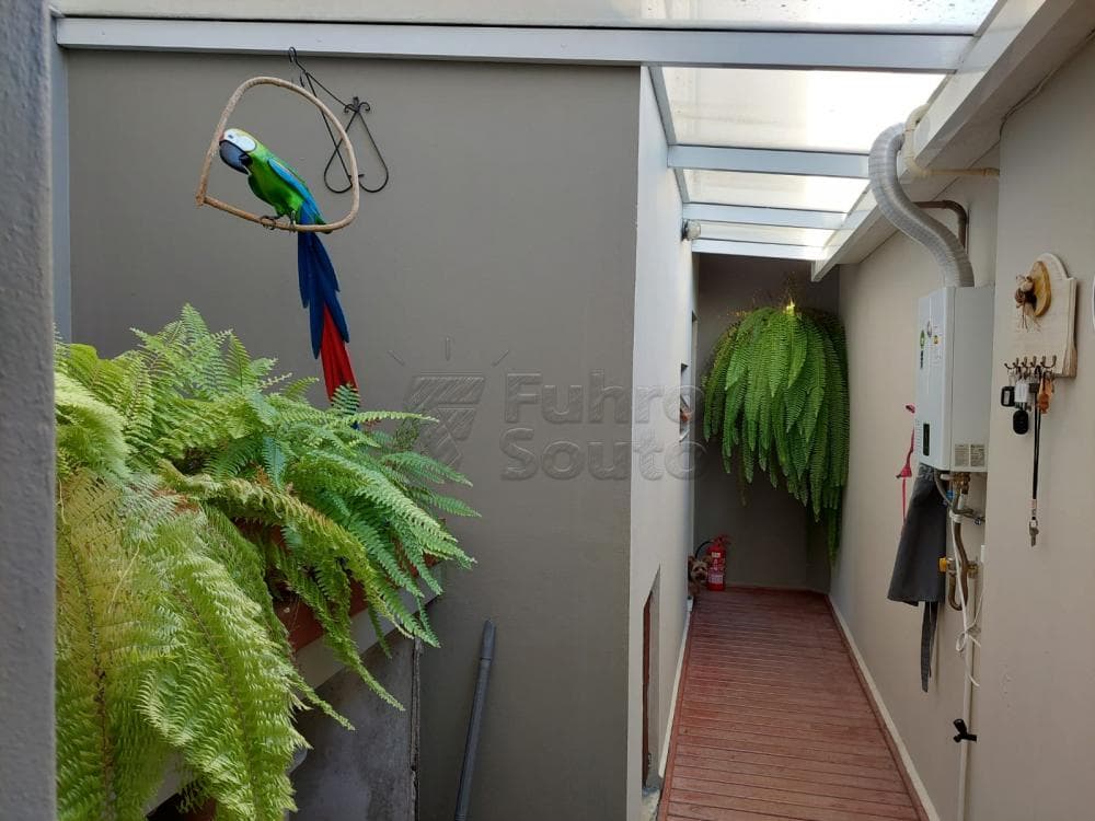 fyrxjm-pelotas-casa-padrao-centro-20-04-2022_14-31-57-15.jpg