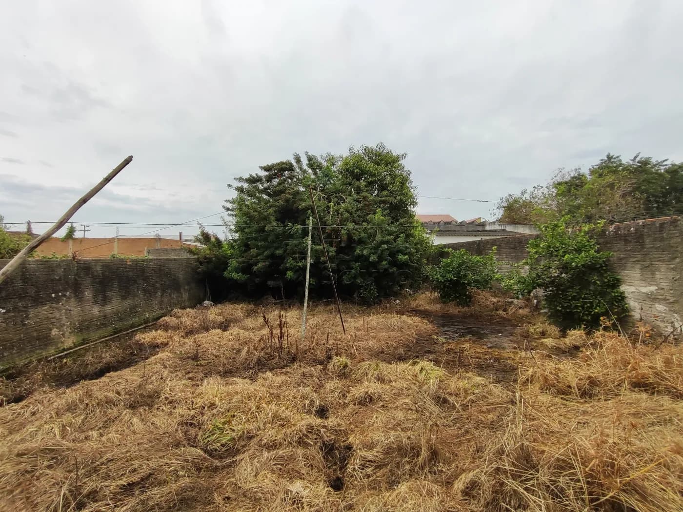 g1bwio-pelotas-casa-padrao-areal-23-04-2024_11-18-46-12.webp