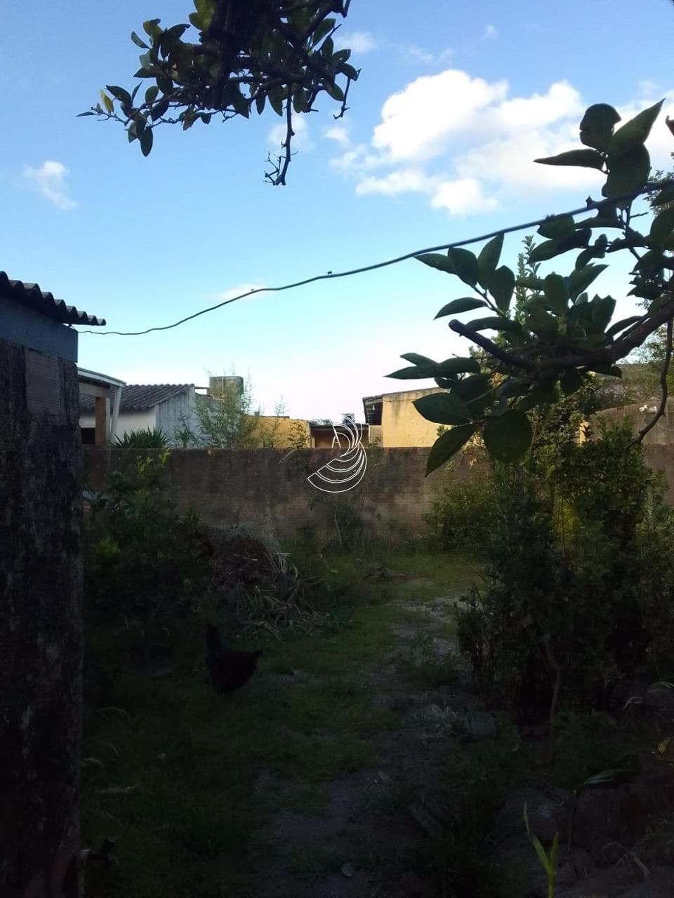 Foto do anúncio número 5