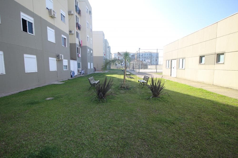 gggfgj-pelotas-areal-cidade-de-guimaraes-17-09-2024_01-46-24-3.jpg
