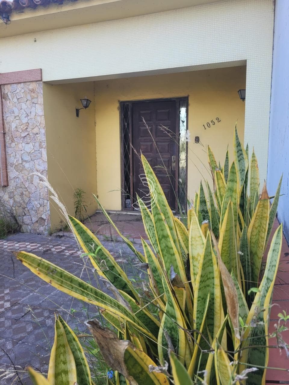 Foto principal do anúncio