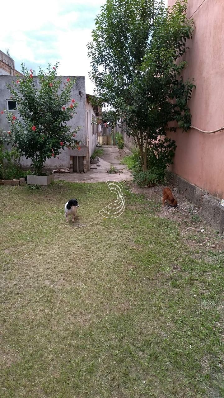 Foto do anúncio número 2