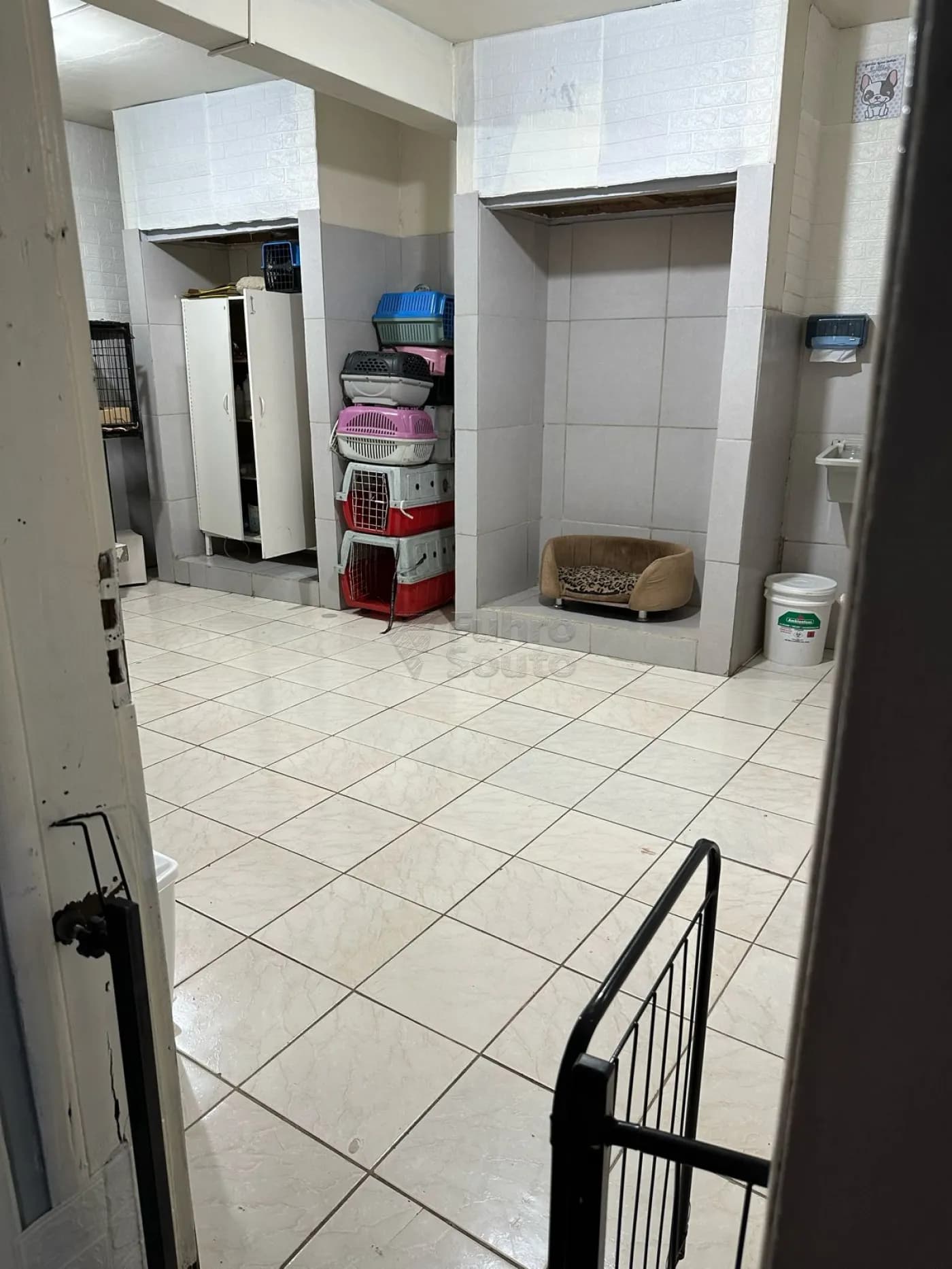 ho59of-pelotas-casa-padrao-centro-20-03-2024_16-05-33-22.webp