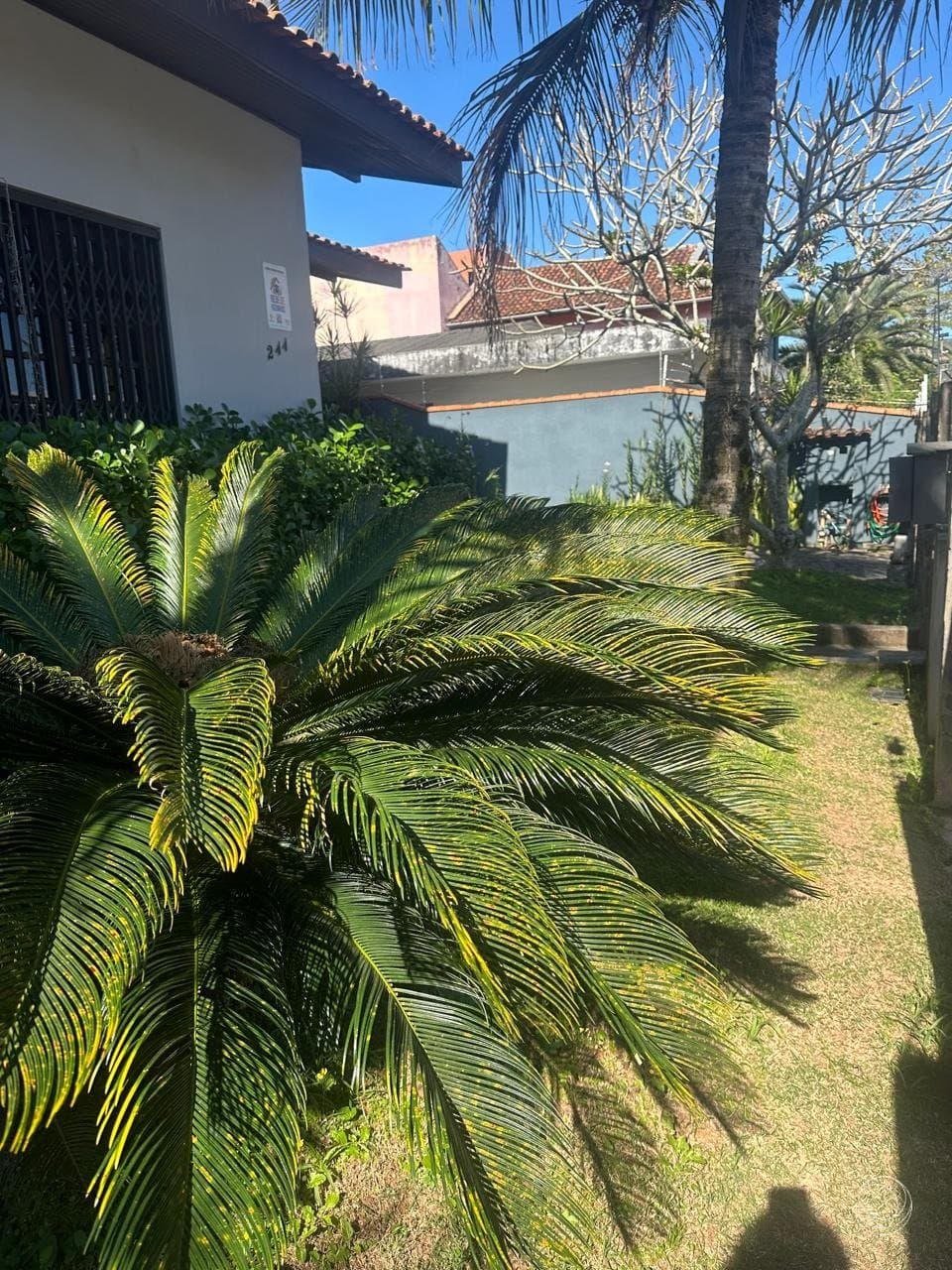 Foto do anúncio número 4