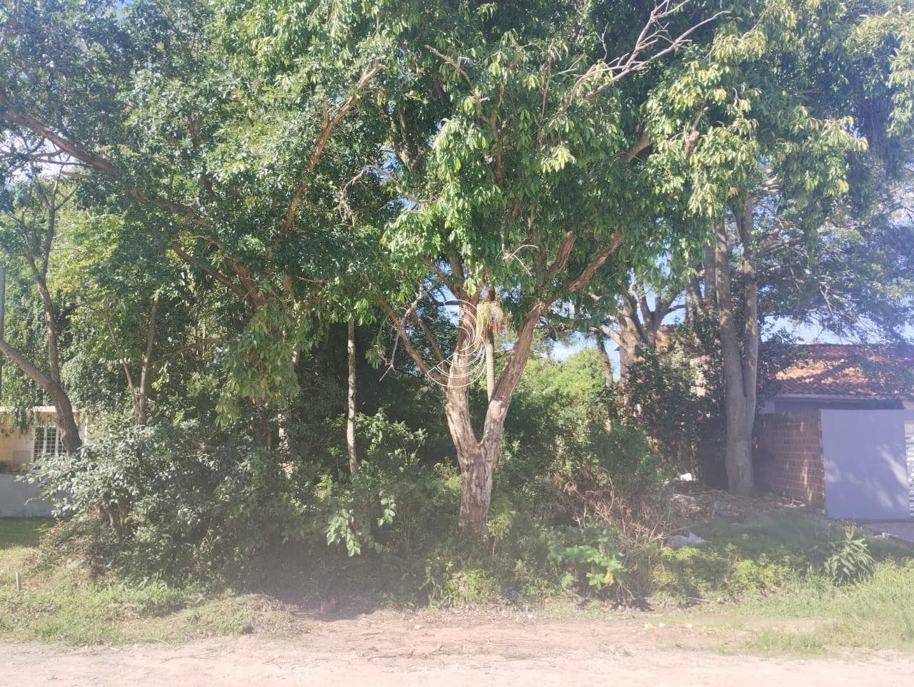 Foto principal do anúncio