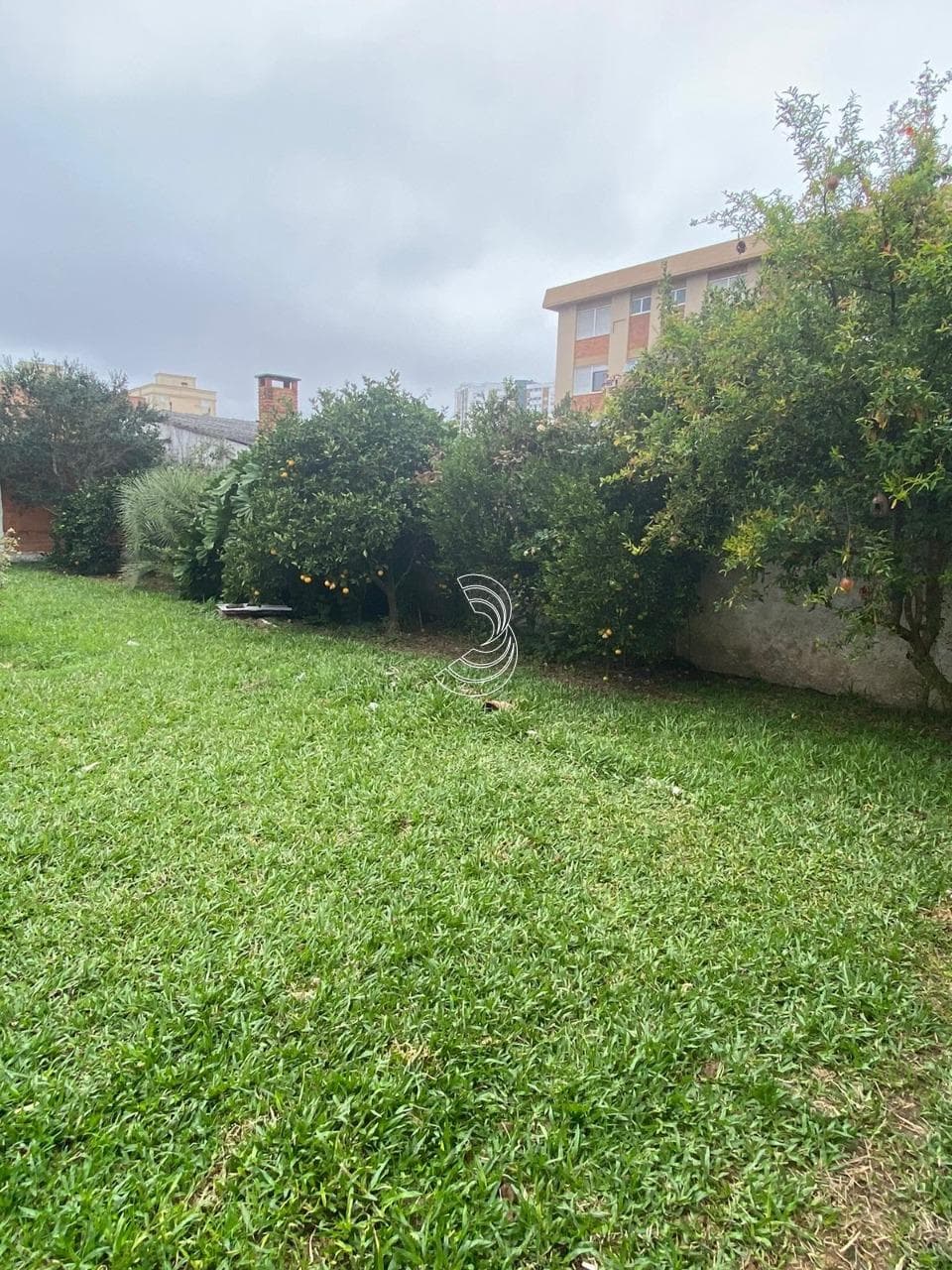 Foto do anúncio número 2