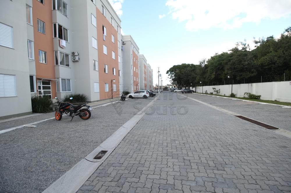 il0o75-pelotas-fragata-solar-pinheiros-12-05-2023_23-12-53-9.jpg