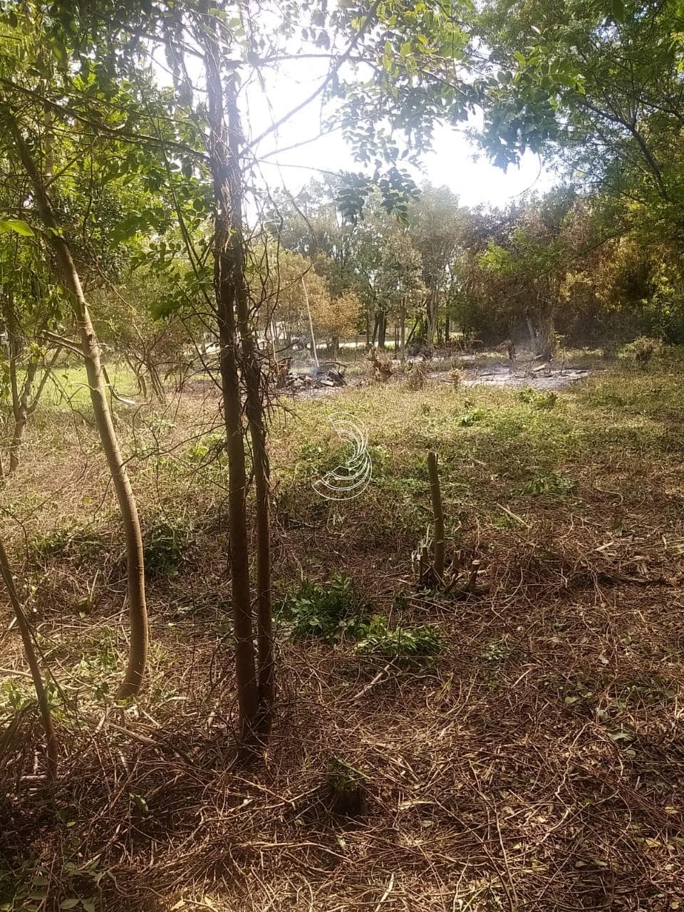 Foto do anúncio número 4
