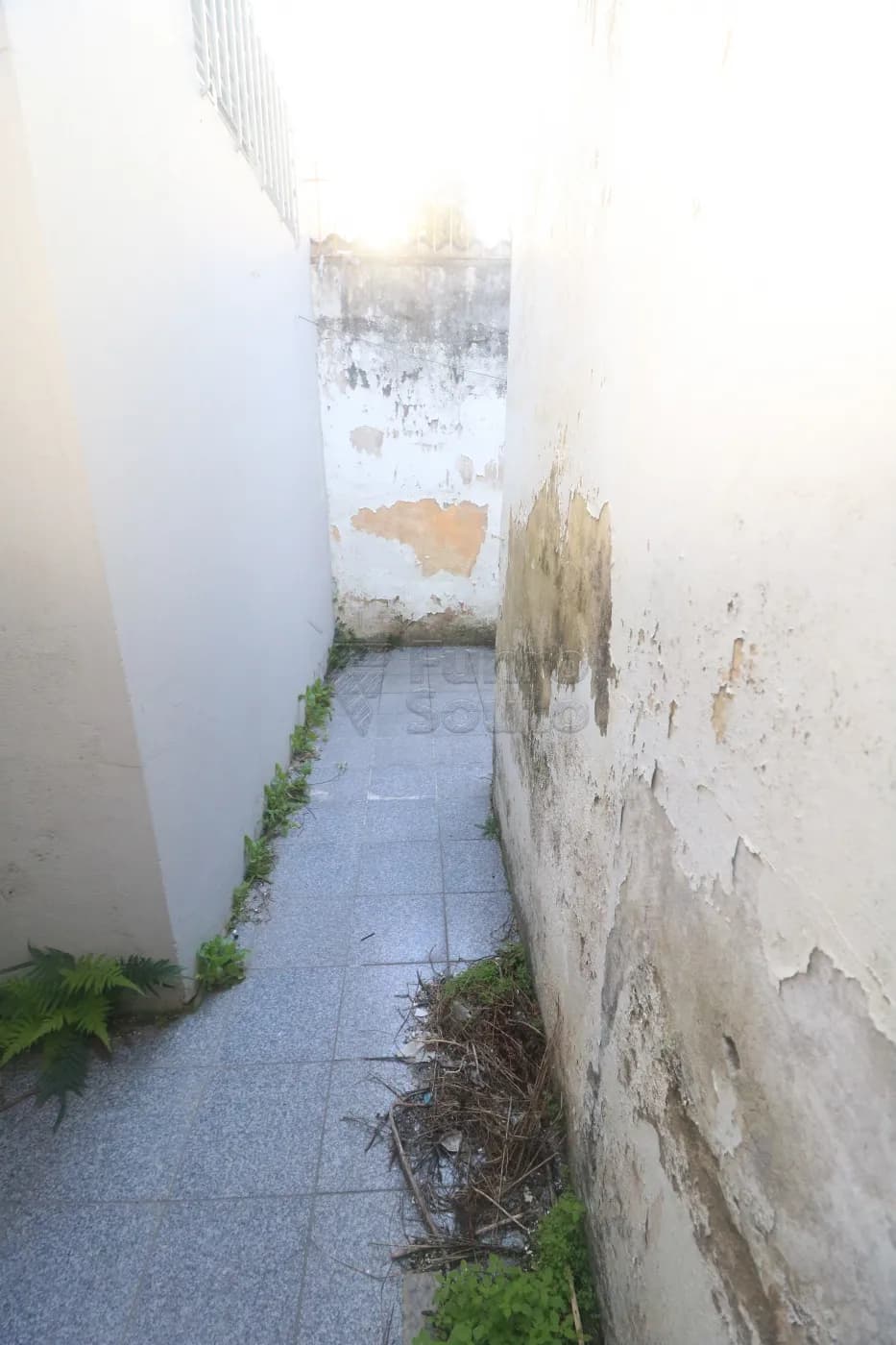 jf490j-pelotas-casa-padrao-centro-10-07-2026_00-17-13-6a50643975da4.webp