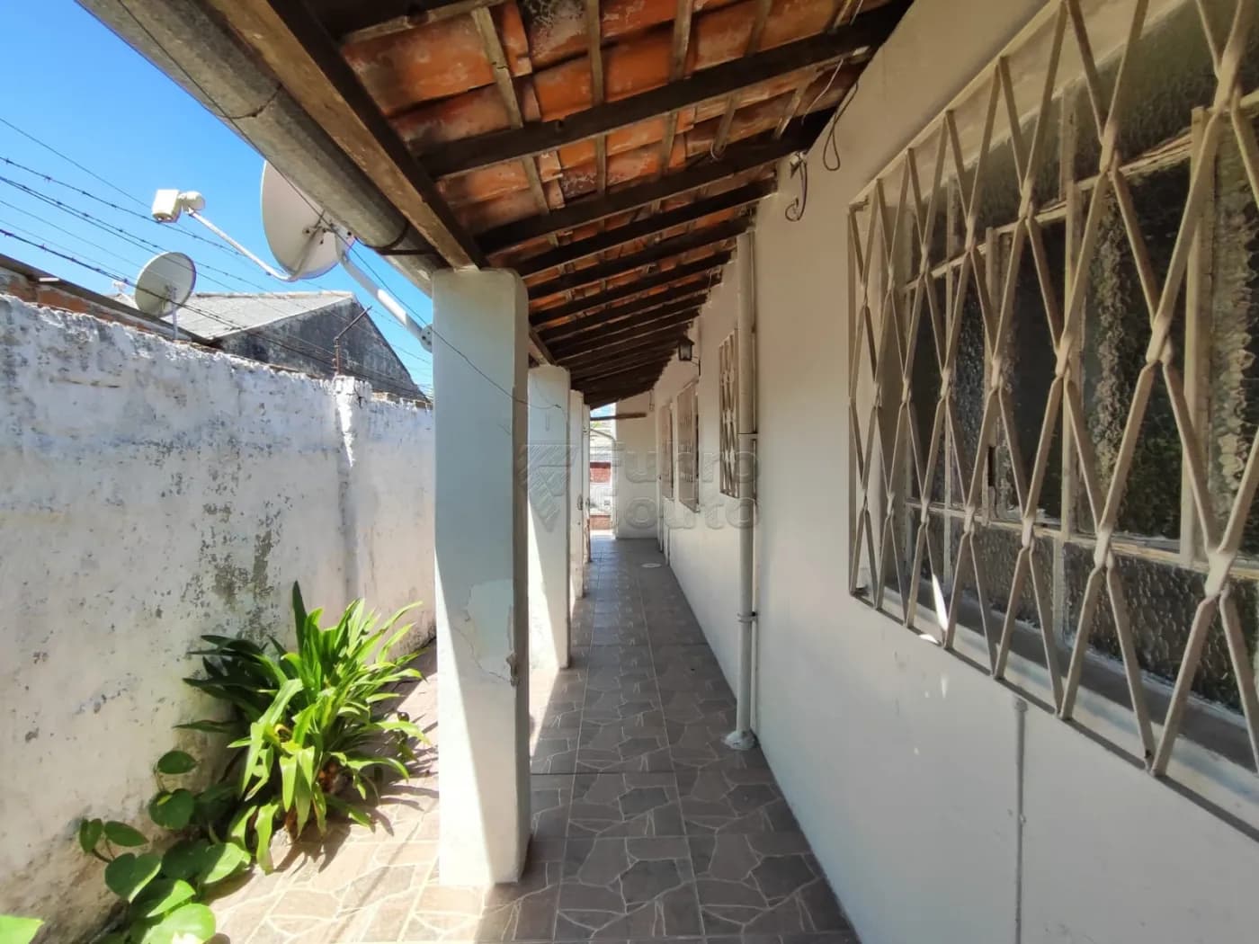 jkcznb-pelotas-casa-padrao-fragata-06-02-2026_18-08-32-6986585037085.webp