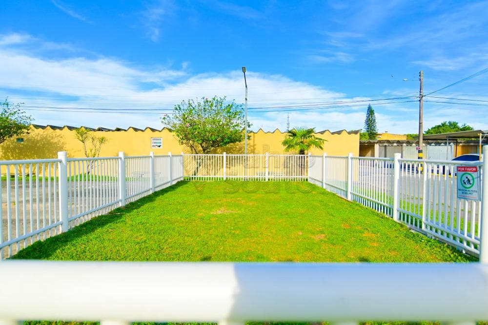 jpfmg5-pelotas-centro-rua-brasil-19-10-2024_11-35-30-2.jpg