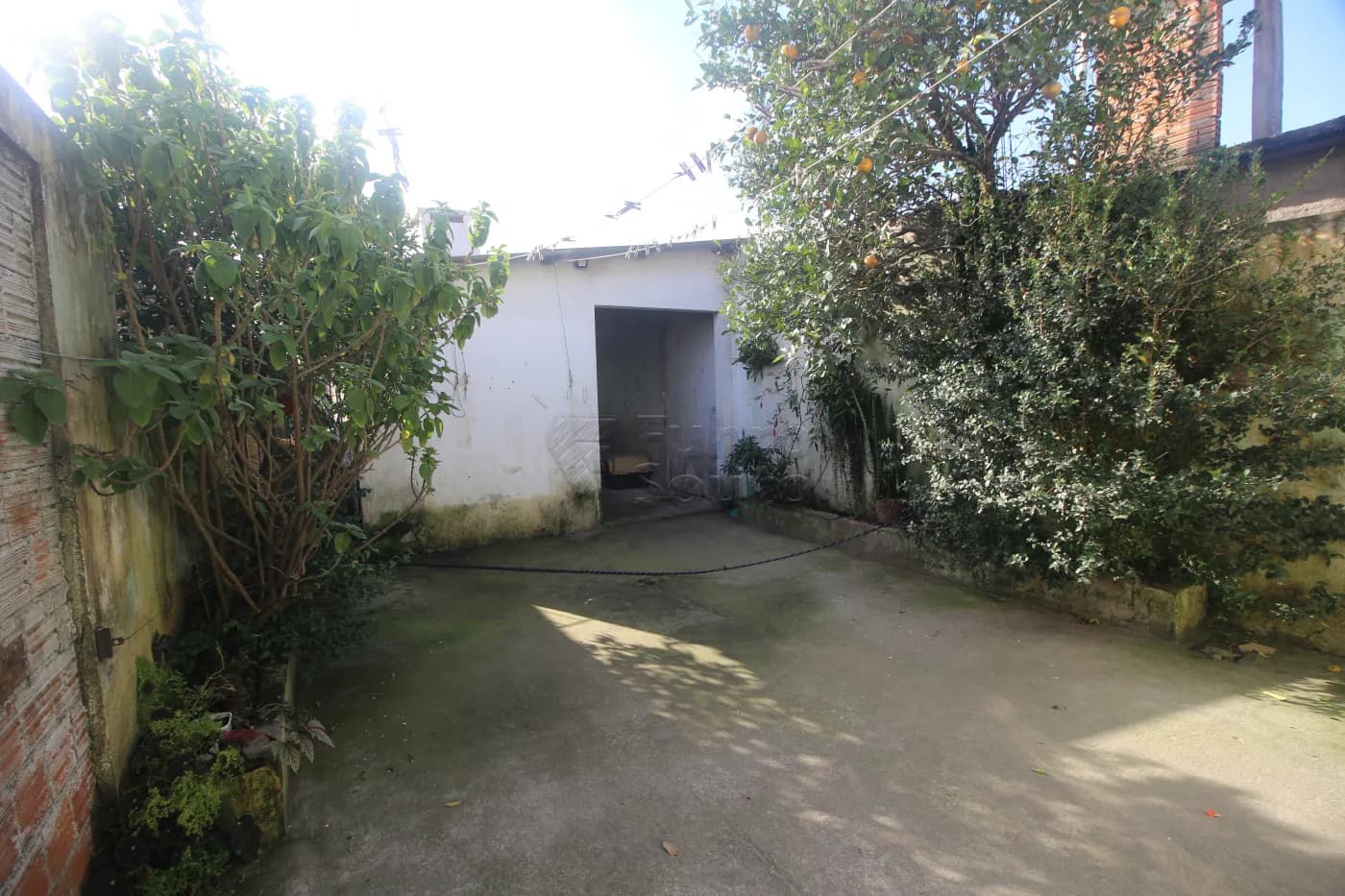 Foto do anúncio número 5