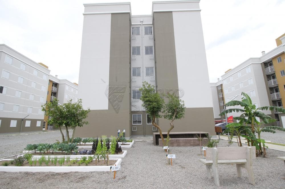jqr8j5-pelotas-areal-recanto-da-figueira---eco-residencial-06-12-2023_23-13-47-4.jpg