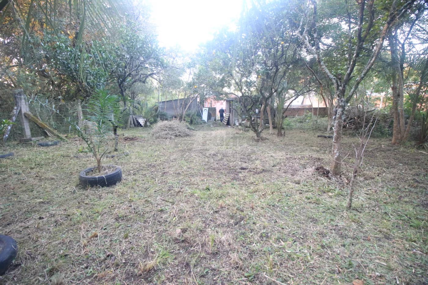 k9dwd-pelotas-casa-padrao-tres-vendas-11-06-2025_00-25-47-41.webp