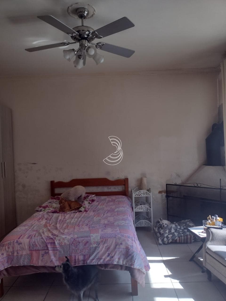 kw4hse-ido526cDbA212K_86566333225021e1e_zk4ZGQwNDkwMTk5_o_wm.jpg