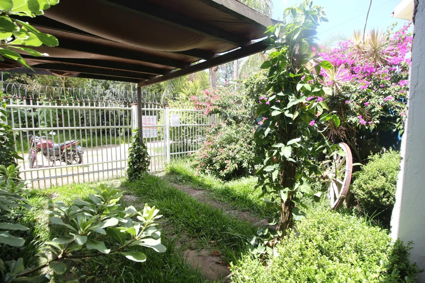 Foto do anúncio número 3