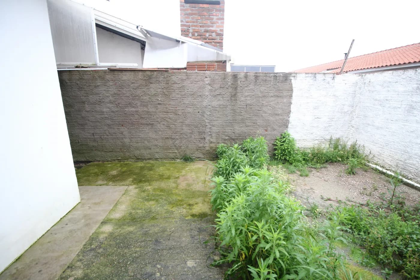 lohy5l-patio.webp