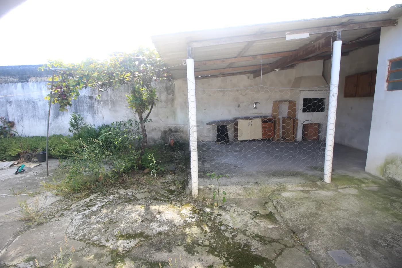 m7n2d6-pelotas-casa-padrao-fragata-10-01-2025_01-56-06-33.webp