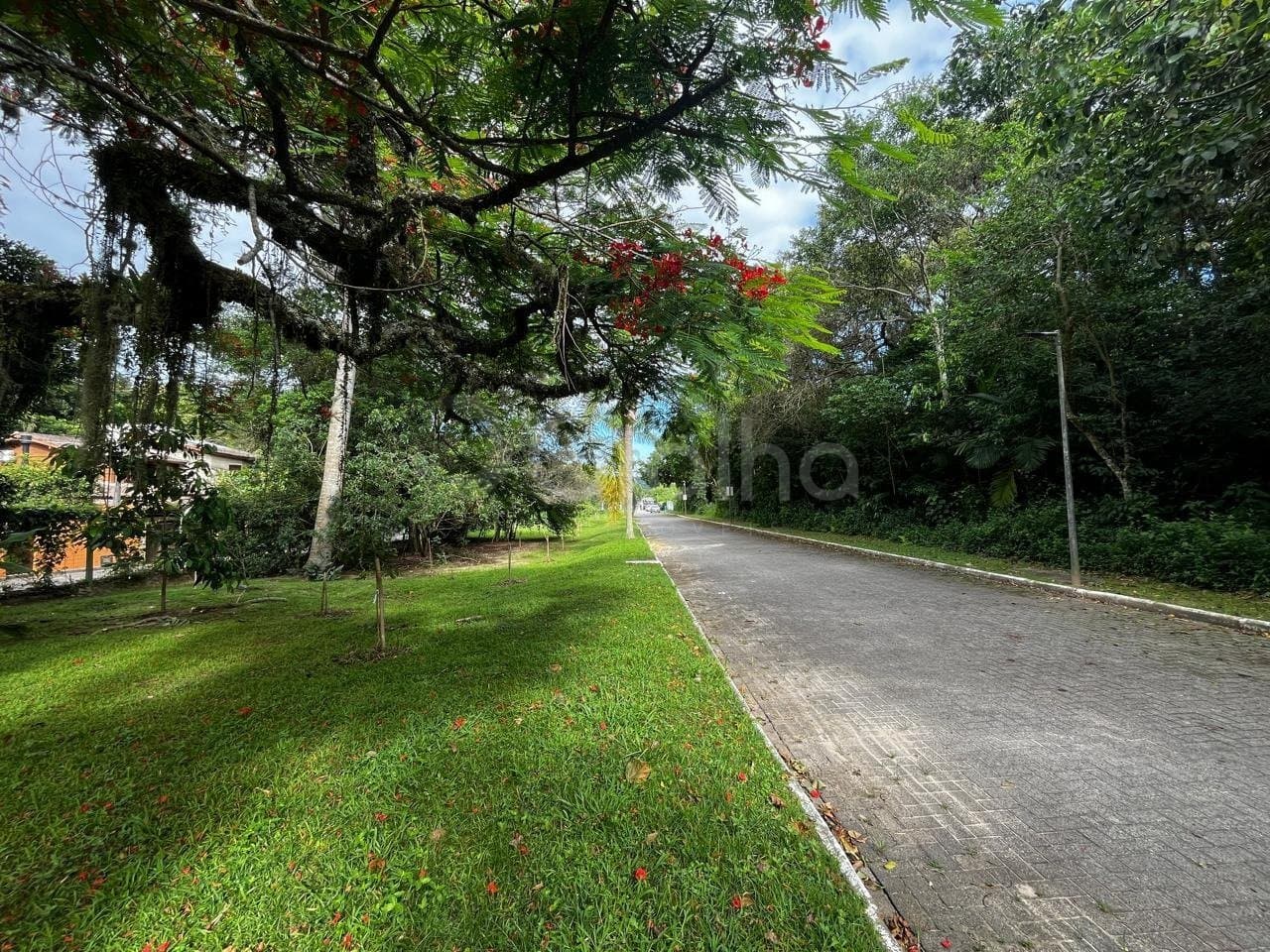 Foto principal do anúncio