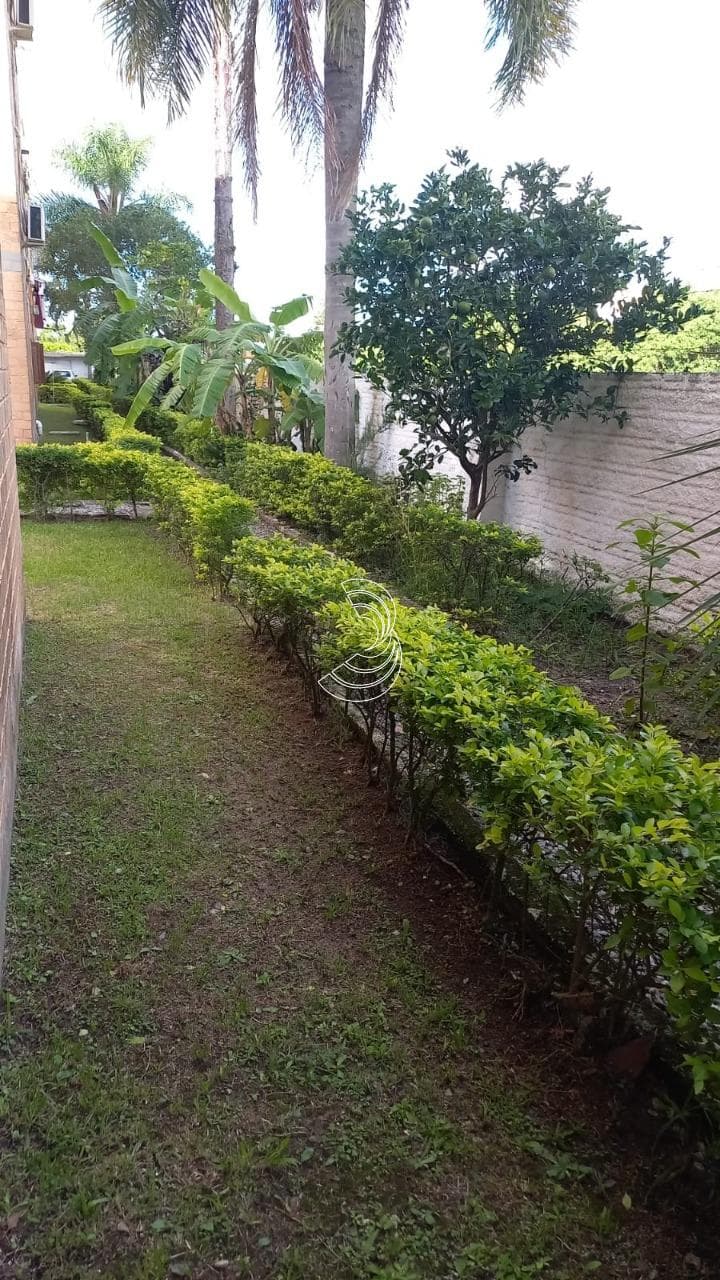 Foto do anúncio número 2