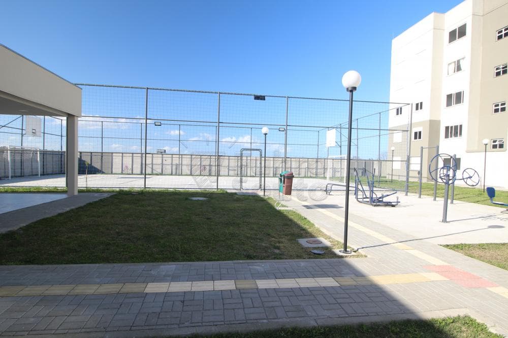 ny9x67-pelotas-areal-cidade-de-coimbra-17-09-2024_01-53-19-2.jpg