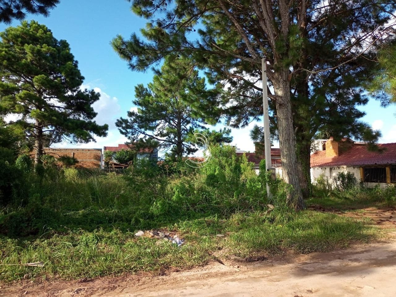 Foto do anúncio número 2