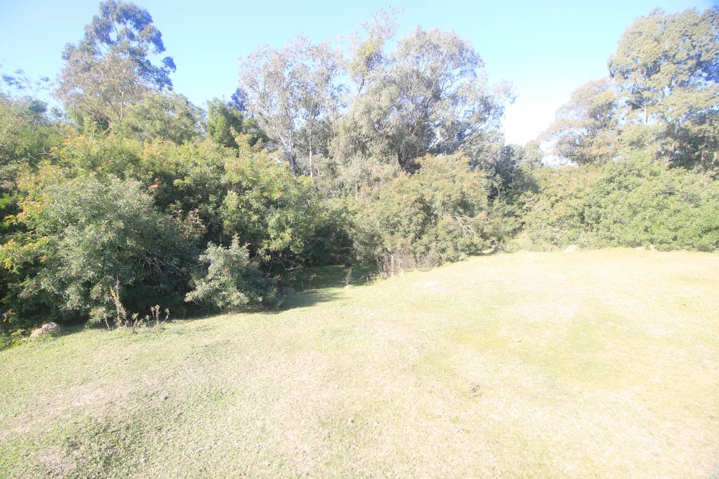 o6vgsf-pelotas-terreno-padrao-fragata-10-06-2025_23-17-29-11.webp