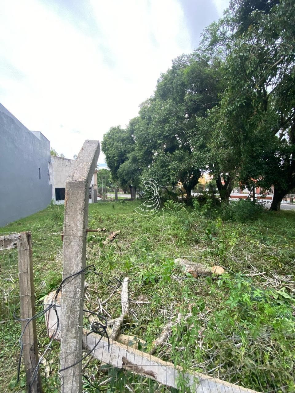Foto do anúncio número 4