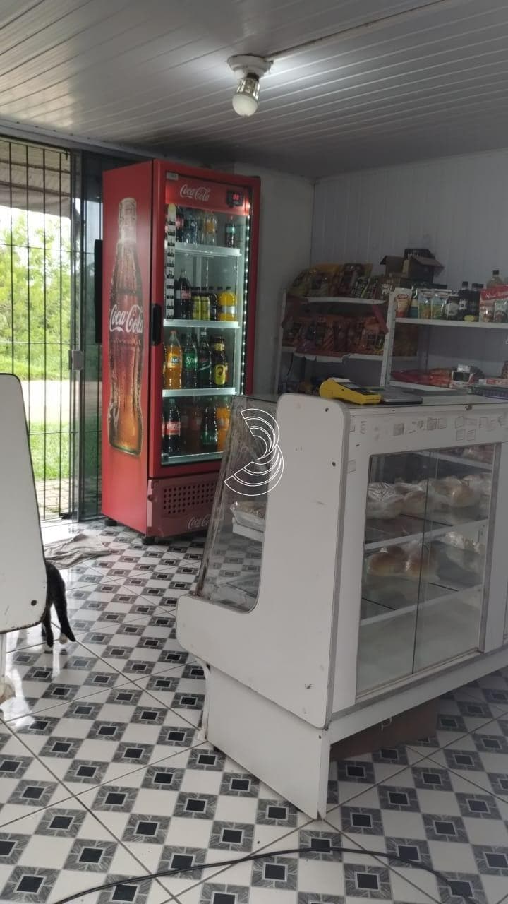 Foto do anúncio número 2