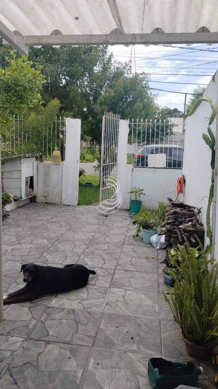 Foto do anúncio número 3