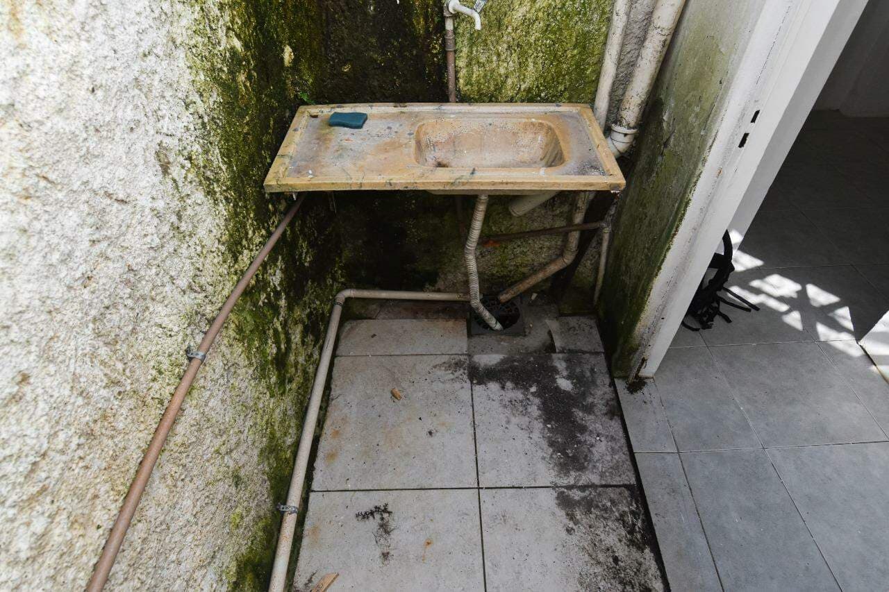 pp7k9-loja-no-pelotas-area-de-servico.jpg