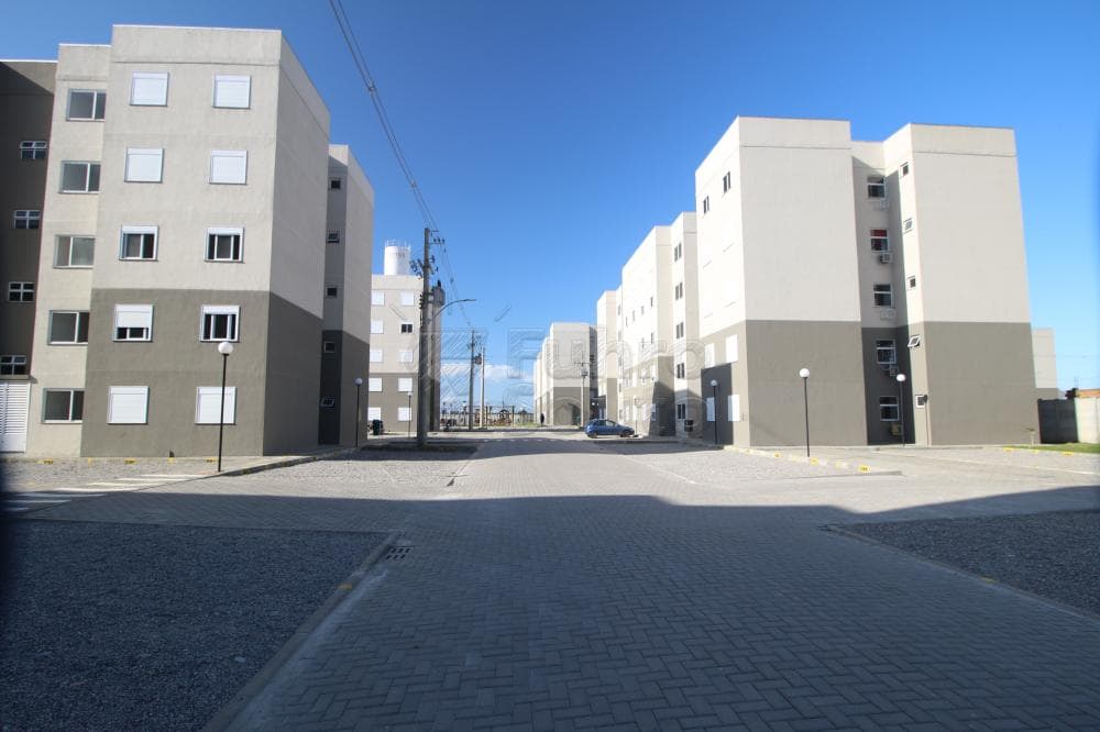 qg19v-pelotas-areal-cidade-de-coimbra-17-09-2024_01-49-47-2.jpg