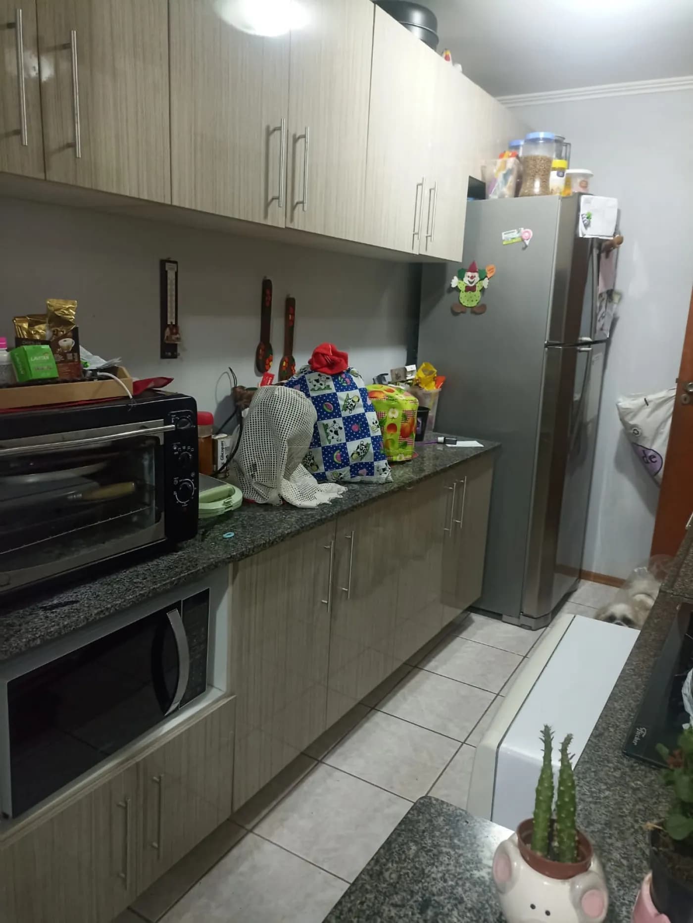 Foto do anúncio número 5