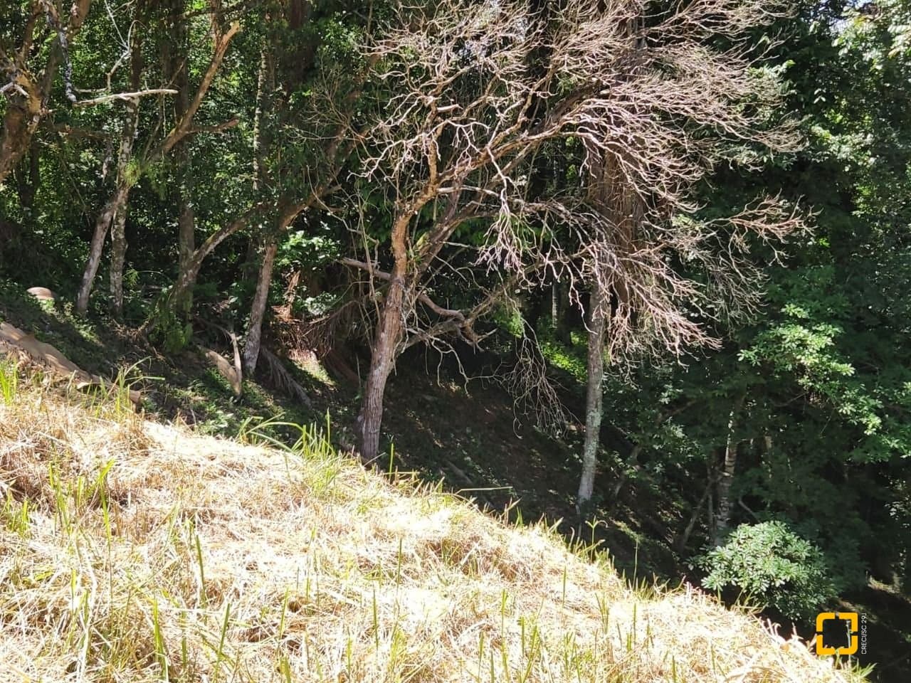 qyog5y-iW761Y81_5668068a4605c56998.jpg