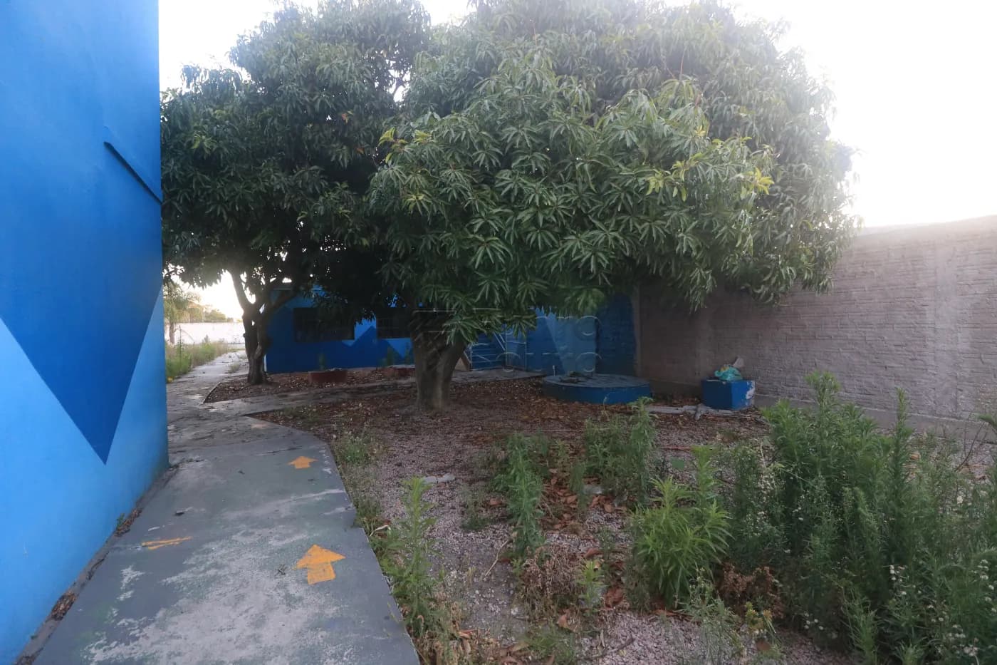 rjtlqg-pelotas-comercial-casa-fragata-03-12-2025_08-05-50-12.webp