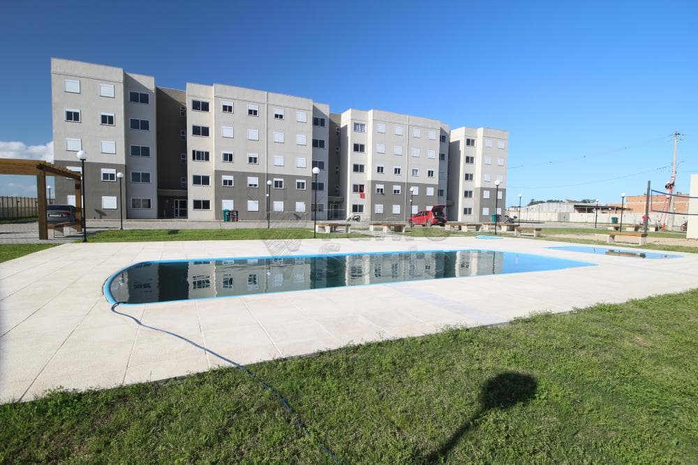 rxyxqx-pelotas-areal-cidade-de-coimbra-17-09-2024_01-54-42-0.jpg